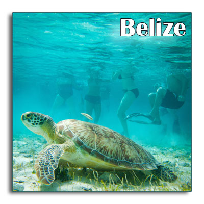 Belize-turtle