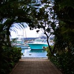 Boats in Harbour Village marina