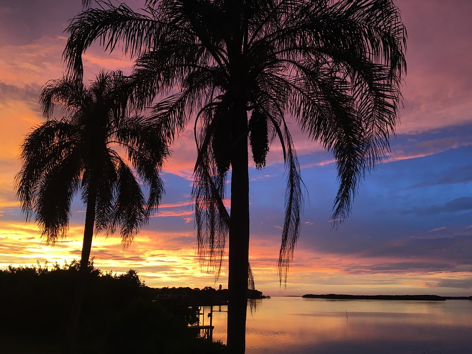 Honeymoon spots like Sarasota have sunsets, beaches and palm trees.