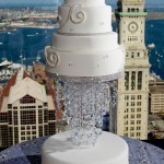 Such a stunning cake!