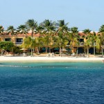 beach and palm trees at one of the great honeymoon destinations in Bonaire.