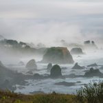 Mendocino wedding - Newport Ranch